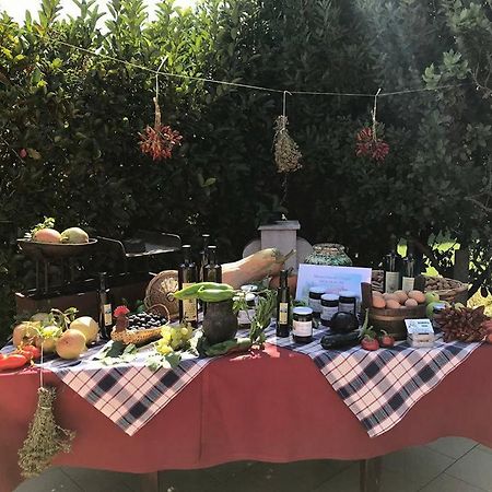 Masseria Vero Bed & Breakfast Palo del Colle Екстериор снимка